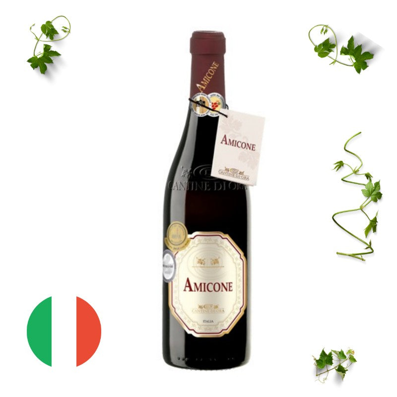Cantine Di Ora 2018 Amicone Rosso Veneto IGT Red Wine 750ml DM Wines Pte Ltd