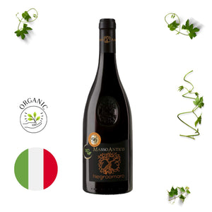 Masso Antico Negroamaro Salento Organic Red Wine IGT 2019 750ml Amigos Y Vinos (Friends & Wines)